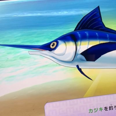 ジミー！！