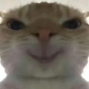 bbangew's profile picture. แอคหวีดค่ะ จบเลย #รีวิวdezing #dezingupdate