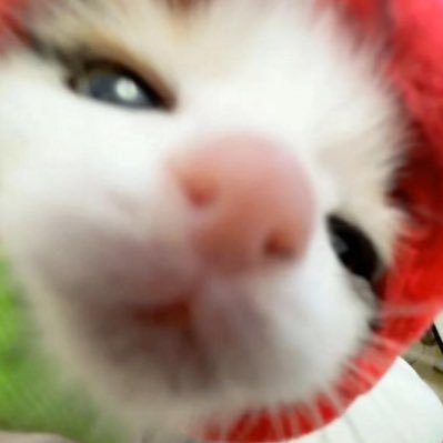 grcvz's profile picture. no