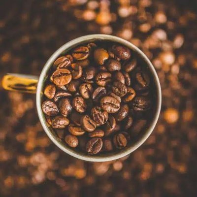 ベトナム産スペシャルティコーヒー豆販売中
北海道の自社焙煎工房で丁寧に焙煎しています。
ご購入は「レ・フゥオン」店頭にて。
住所:〒078-1304北海道上川郡当麻町4条西4丁目6番13号
電話:080-6174-8105
営業時間:10:30~15:00/17:00~20:00(月曜定休)