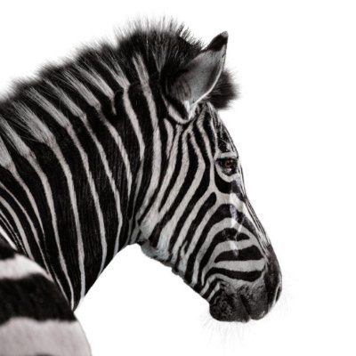 Investec UK Profile