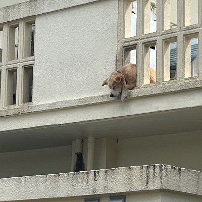 SHO_TEQ's profile picture. 2000年生/沖縄出身/趣味は筋トレ、釣り。 /ランテック56期4月20入学、1月卒業。 /よろしくお願いします。