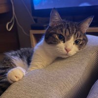 Wimonrat Sooksat (@wszomcheng) 's Twitter Profile