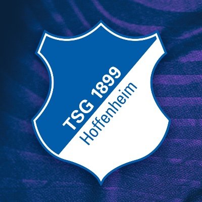 Offizieller Account der #TSG Hoffenheim Frauen 📱
Website: https://t.co/kKA4tdq1li