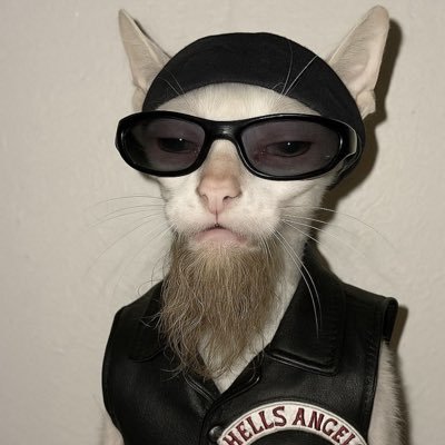 Chamodo_'s profile picture. Gaming — Sports 🎮💪🏼