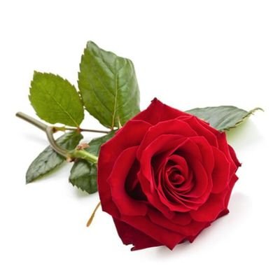 @lola1216498