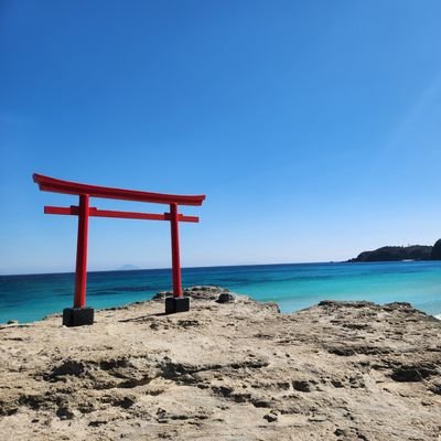 【Baby'z Breath】【英傑対戦】【EVA・加持さん】【神社】【美術館・硝子工芸】【西本智実さん】【滝】【阿波踊り】【米津玄師】【B'z】今好きなもの😊