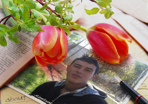 Mohmed223Mohmed's profile picture. 