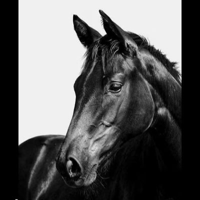 purnishmentmar1's profile picture. mawo eyin wo