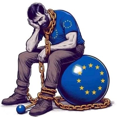 MariuszBiel2's profile picture. Mamy w Polsce rozbudowaną agenturę Niemiec tzw. folksdojczy i microcefali, snobów którym się wydaje, że "sranie na Polskę" dowodzi intelektualnej wyższości.