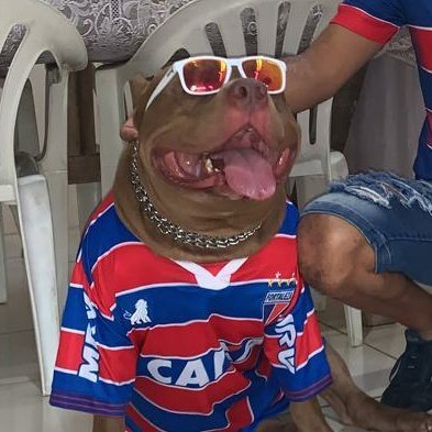 o objetivo é entender o fortaleza
