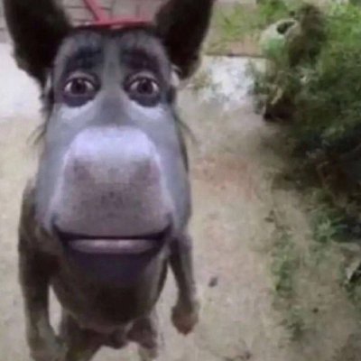 potus&apos;s avatar
