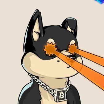 P5 🧡$DOGさんのプロフィール画像
