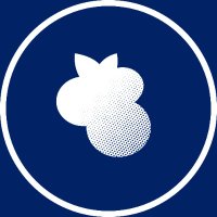 BLUEberries Official (@blueberriesofc) 's Twitter Profile Photo BLUEberries Official (@blueberriesofc) 's Twitter Profile Photo
