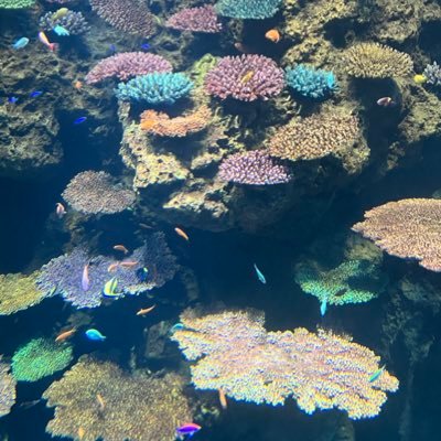 g_t6gtk's profile picture. 