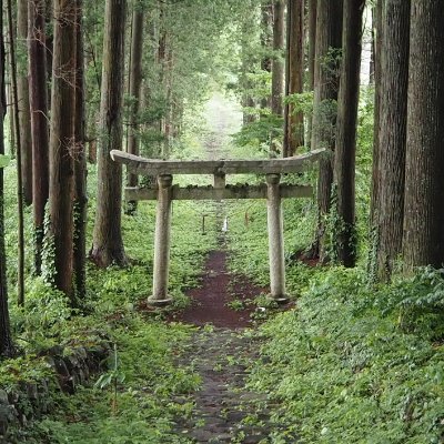 zerojudge2's profile picture. 