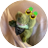 riiiiisochan_