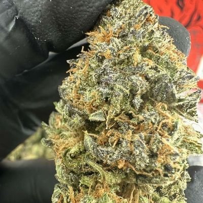 TheGreenscore's profile picture. Yo, welcome to my green house! I’m the plug for that sticky icky. I’m out here harvestin’ the best
nugs straight from my stash🍃

Old account suspended ❌