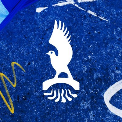 @bridgendravens