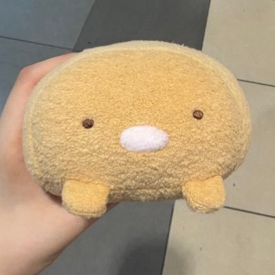 ﾙｺﾁｮ🥺🤚本当に節約する💸さんのプロフィール画像