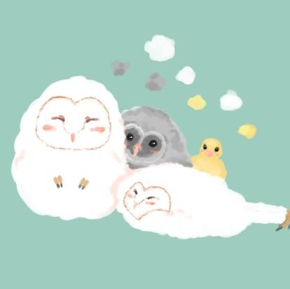 紺野ちゃす🦉さんのプロフィール画像