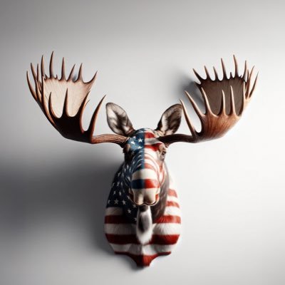 A new political party of, by, and for the American people standing for ideals, not ideology nor self-serving politicians