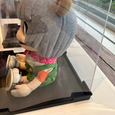 Hanaxpkp's profile picture. 🍃🥜好き！/30↑/📷:SONY ZV-E10、Kodak H35N/写真無断使用禁止