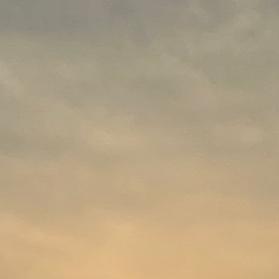 lxogaURut719160's profile picture. 