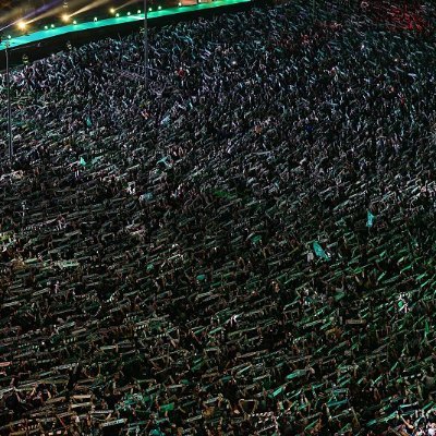 Grupo dedicado ao debate; análise e apoio ao Sporting CP 💚 🦁
O mundo sabe que 🎵...a tua voz; a tua opinião será ouvida.
Bem-vindo(a) 😉