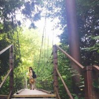 Jane (@janecurtd) 's Twitter Profile