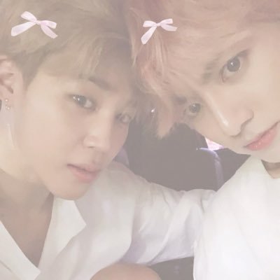jikookspixie's profile picture. jungkook and jimin lover first human second | autistic