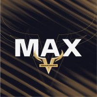 Max van der Geest (@maxvdgeest) 's Twitter Profile