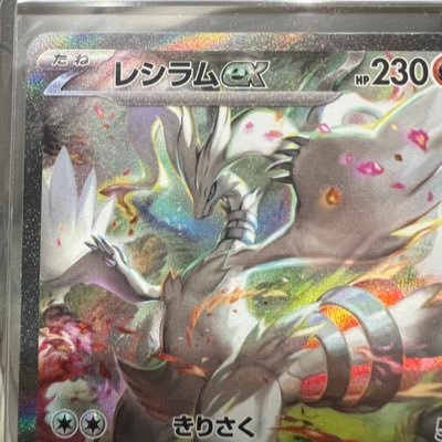 子供のためにポケカを買い回った結果、自分がはまっちゃいました。bwからの参戦で新参者ですが、仲良くしてやって下さい。Xのお作法もよく分かってないですがよろしくお願いします。怪しいものではございません。