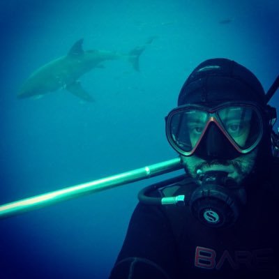 eswnyc's profile picture. NYC