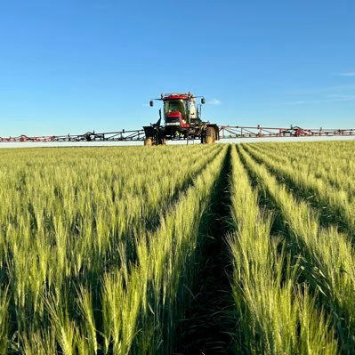 stacres's profile picture. S & T Acres