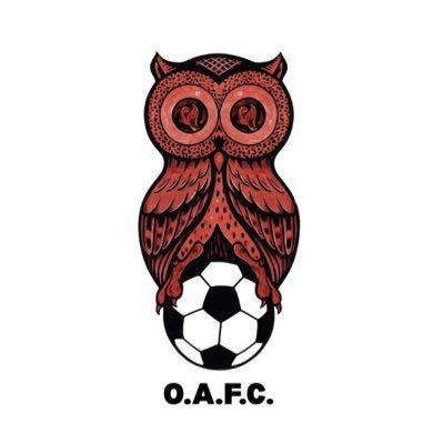 Hartlepool Division 2 side playing out of The Owl on Scarborough Street. UTO 🦉sponsored by Evolution, Biancos Deli, Evolve gym and Front edge design