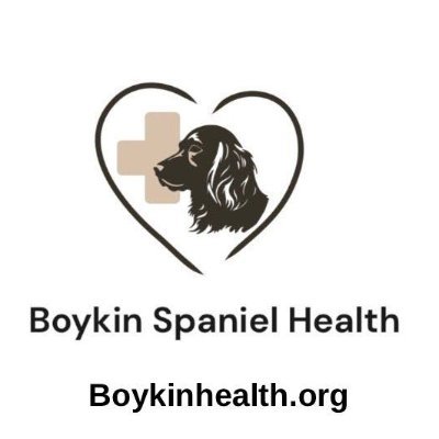 a 501(c)(3) that strives to be the leading advocate for the well-being of Boykin Spaniels, ensuring that each dog enjoys a long, happy, and fulfilling life