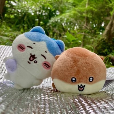 saya2025_4lig's profile picture. デジLIG大宮 グラフィック7月卒／9月〜転職／広告コピー大好き／ハチワレさんをスーパー尊敬しています