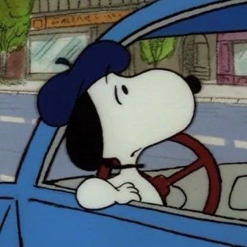 #SAPNAP: Yeah, besties for the resties! 𖤐 African American ʚ♡⃛ɞ 🇵🇸 snoopy of #pandastwt and #smiletwt