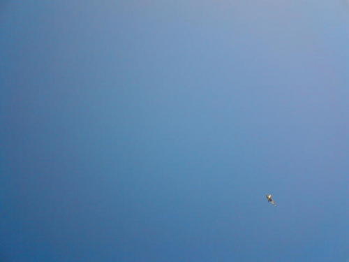 morel_fr's profile picture. 