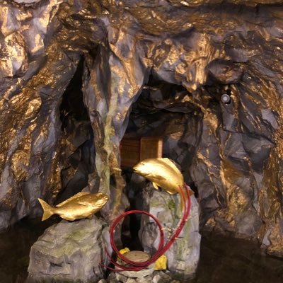 bz3vr7's profile picture. 公務員20代 個別株で負けました。初心に帰りインデックス投資家へ。2025年〜。まだまだ始まったばかり。FP3級