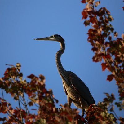 Teek37's profile picture. 