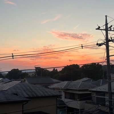 あさい、ひかり。さんのプロフィール画像