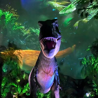 Lifeiyu558387's profile picture.