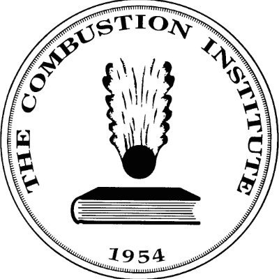 The Combustion Institute Profile