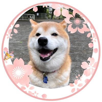 千桜&tkk