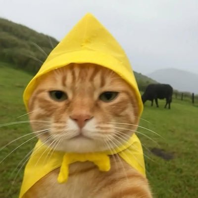 keysizxczxc's profile picture. 