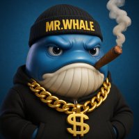 π© ππ«.ππ
·π
°οΈπ
»π
΄ π³ | 2.0 (@0xmrwhale) 's Twitter Profile