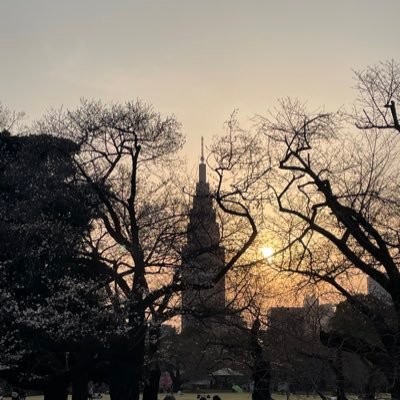 lightlight79387's profile picture. 