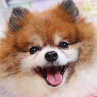 雷太郎さんのプロフィール画像